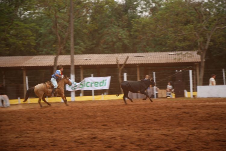 TRADIÇÃO: Rodeio Crioulo reúne tradicionalistas em Itaipulândia