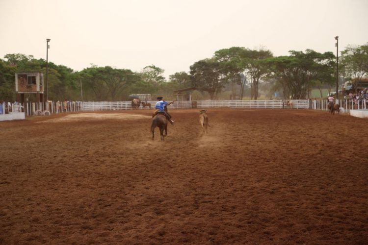 TRADIÇÃO: Rodeio Crioulo reúne tradicionalistas em Itaipulândia