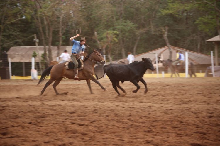 TRADIÇÃO: Rodeio Crioulo reúne tradicionalistas em Itaipulândia