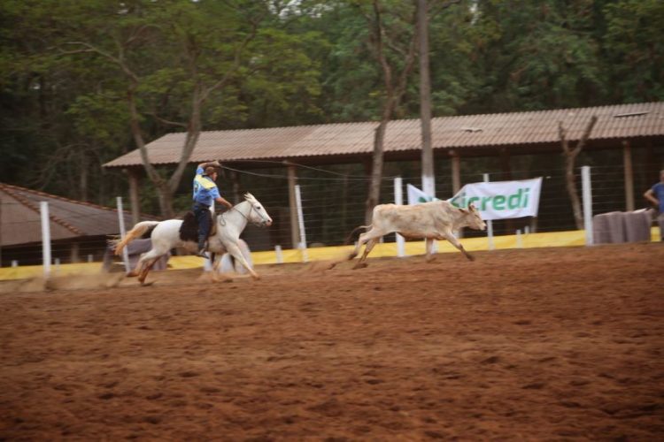 TRADIÇÃO: Rodeio Crioulo reúne tradicionalistas em Itaipulândia