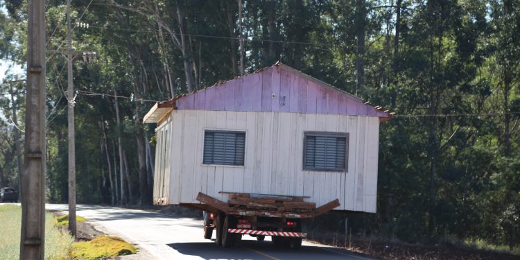 Imagem rara: Por onde passam, elas atraem a atenção de todos