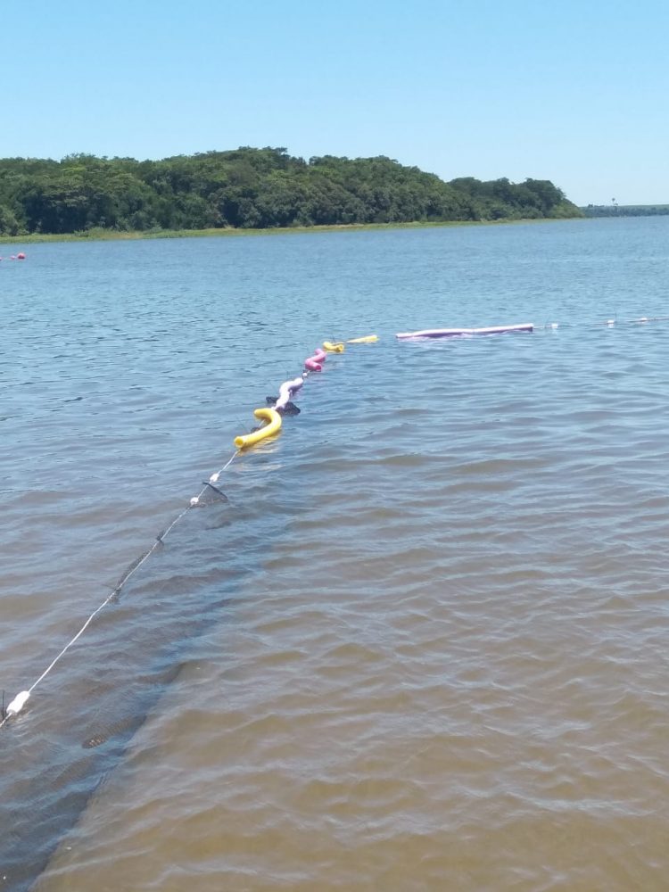 Praia de Itaipulândia recebe tela de proteção para evitar acidentes com piranha
