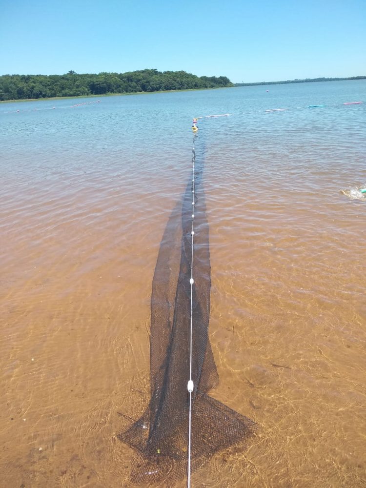 Praia de Itaipulândia recebe tela de proteção para evitar acidentes com piranha