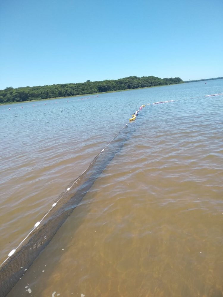 Praia de Itaipulândia recebe tela de proteção para evitar acidentes com piranha