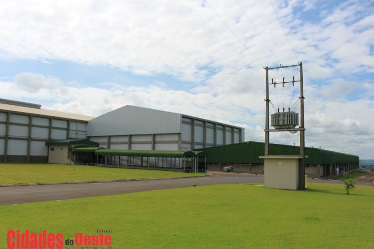 Itaipulândia: Friella contrata 100 novos funcionários