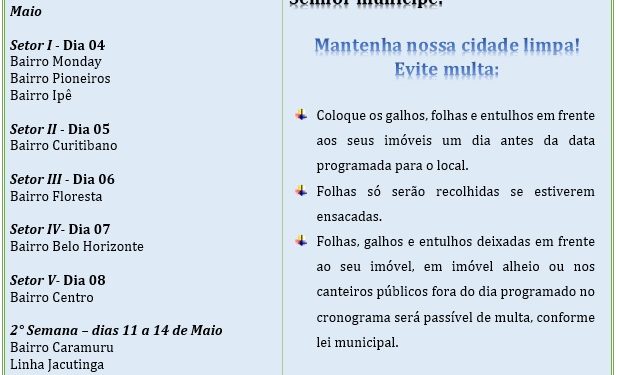 Podas de árvores deverão ser realizadas a partir de maio em Itaipulândia