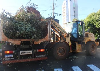 Segunda semana de recolha de galhos e pequenos entulhos será no Caramuru e Jacutinga