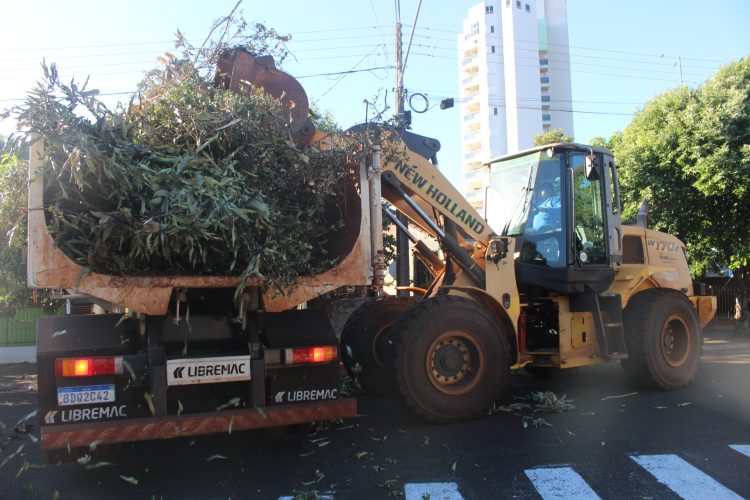 Segunda semana de recolha de galhos e pequenos entulhos será no Caramuru e Jacutinga