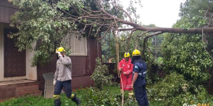 Defesa Civil de São Miguel do Iguaçu e Corpo de Bombeiros seguem com remoção de árvores nesta sexta (25)