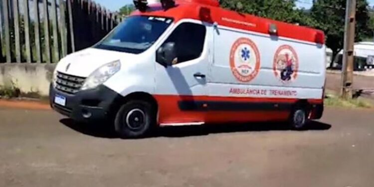 Jovem é picado por cobra jararaca e procura atendimento com o rosto desfigurado