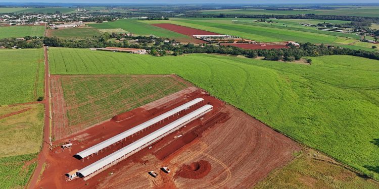 Itaipulândia amplia uso de biodigestores e investe mais de R$ 1,1 milhão na suinocultura sustentável